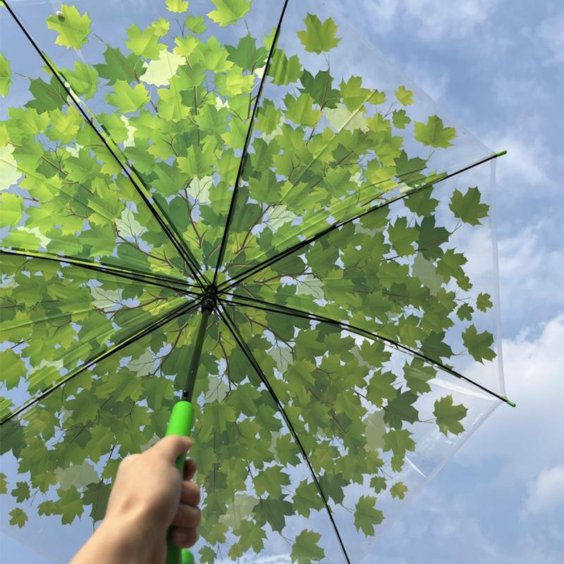 Maple Leaf Transparent Umbrella