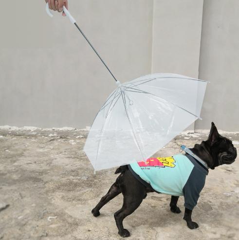 Pet Umbrella With Handle