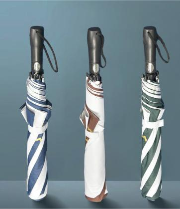 Two-Fold Silver Umbrella