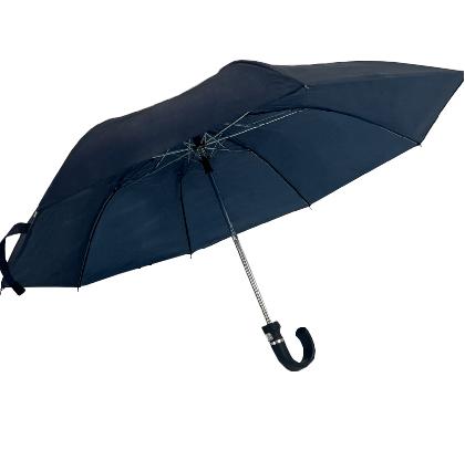 Standard Two-Fold Umbrella